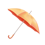paraguas protección de ciberataque